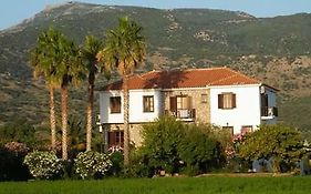 Islands Apartments